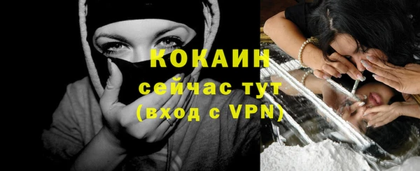 spice Алзамай