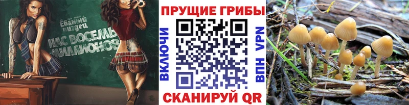 Галлюциногенные грибы мицелий Мензелинск